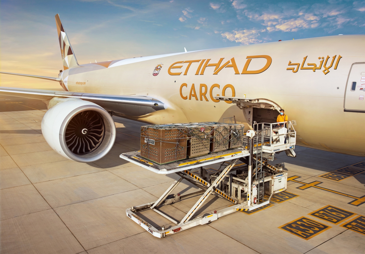 Freight & Cargo Service Providers in the Australian Market: What Are Your Options in 2021? Freight & Cargo Service Providers in the Australian Market: What Are Your Options in 2021?