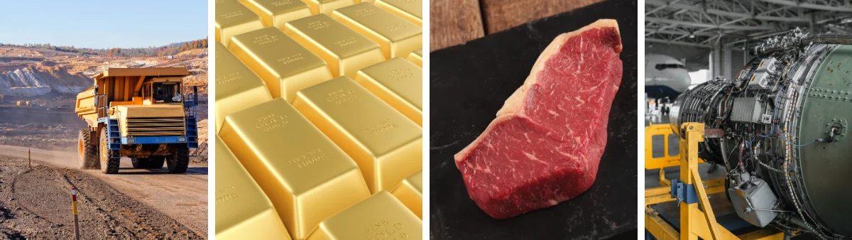 Australia's Top Exports minerals, precious stones, meat and machinery